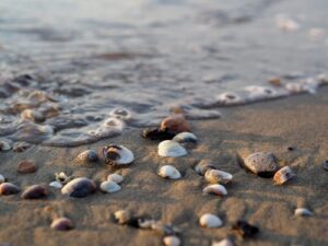 sea-g06cf6e94e-640_thumb